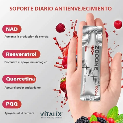 Suplemento NAD+ Resveratrol Zoone